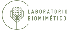laboratorio-biomimetico